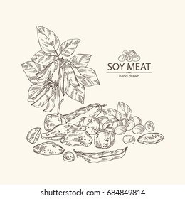 Background with soy meat, soy plant and soya beans. Vector hand drawn illustration