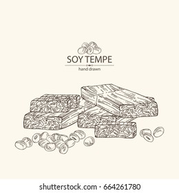 Background with soy tempe and soybeans. Vector hand drawn illustration.