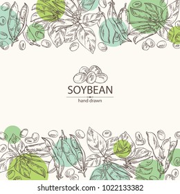Background with soybean: bean, soy pod, plant and leaves. Vector hand drawn illustration.