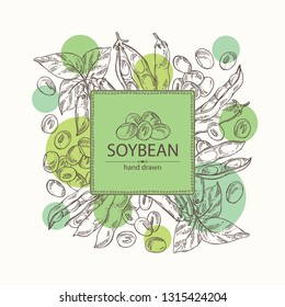 Background with soybean: bean, soy pod, plant and leaves. Vector hand drawn illustration.