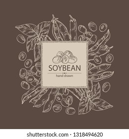 Background with soybean: bean, soy pod, plant and leaves. Vector hand drawn illustration.