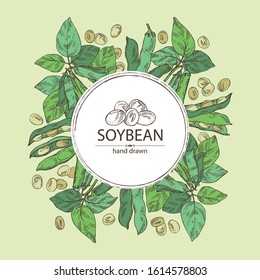 Background with soybean: bean, soy pod, plant and leaves. Vector hand drawn illustration. 