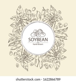 Background with soybean: bean, soy pod, plant and leaves. Vector hand drawn illustration. 