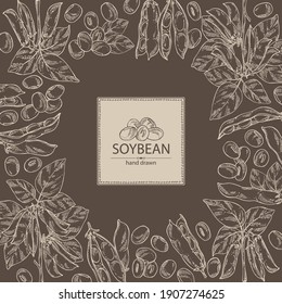 Background with soybean: bean, soy pod, plant and leaves. Vector hand drawn illustration. 