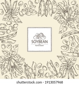 Background with soybean: bean, soy pod, plant and leaves. Vector hand drawn illustration. 