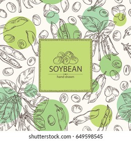 Background with soybean: bean, soy pod, plant and leaves. Vector hand drawn illustration