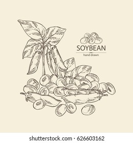 Background with soybean. Hand drawn