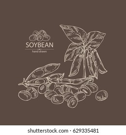 Background with soybean. Hand drawn.