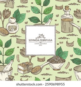 Background with soymida febrifuga: plant, fruits, leaves and soymida febrifuga bark. Swietenia febrifuga. Oil, soap and bath salt. Cosmetics and medical plant. Vector