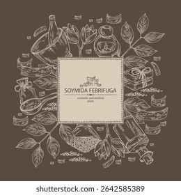 Background with soymida febrifuga: plant, fruits, leaves and soymida febrifuga bark. Swietenia febrifuga. Oil, soap and bath salt. Cosmetics and medical plant. Vector