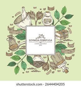 Fundo com soja febrifuga: planta, frutas, folhas e casca de soja febrifuga. Swietenia febrifuga. Óleo, sabão e sal. Cosméticos e planta médica. Vetor