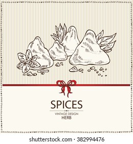 Background with spice , hand drawn