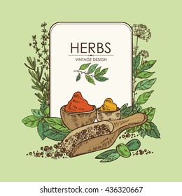Background with spice and herb , hand drawn