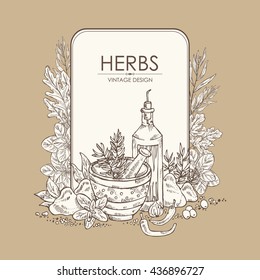 Background with spice and herb , hand drawn