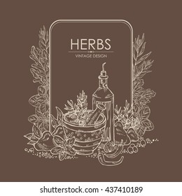 Background with spice and herb , hand drawn