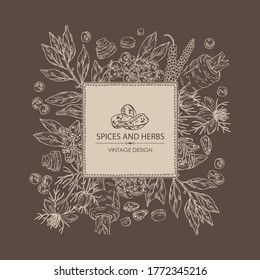 Antecedentes con especias y hierbas: pimienta negra, rama de hojas de bahía, flor y semillas de nigella sativa y raíz de parrillada. Ilustración dibujada a mano por vectores.