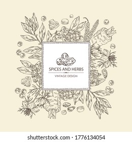 Antecedentes con especias y hierbas: pimienta negra, rama de hojas de bahía, flor y semillas de nigella sativa y raíz de parrillada. Ilustración dibujada a mano por vectores.