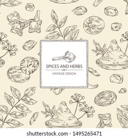 Background with spices and herbs: clove tree, nutmeg, curry tree leaves and asafoetida. Vector hand drawn illustration.