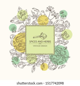 Background with spices and herbs: clove tree, nutmeg, curry tree leaves and asafoetida. Vector hand drawn illustration.