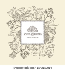 Background with spices and herbs: wasabi root, daikon root, mustard, horsradiah. Vector hand drawn illustration.