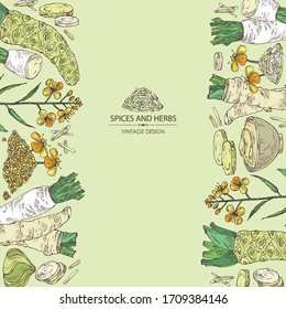 Background with spices and herbs: wasabi root, daikon root, mustard, horsradiah. Vector hand drawn illustration.