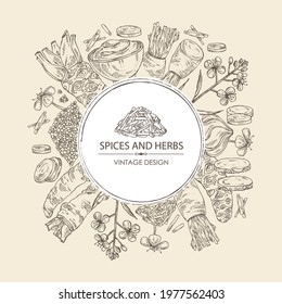 Background with spices and herbs: wasabi root, daikon root, mustard, horsradiah. Vector hand drawn illustration.