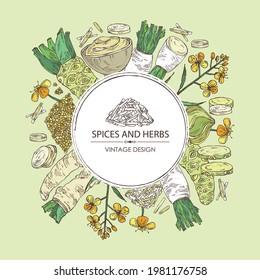 Background with spices and herbs: wasabi root, daikon root, mustard, horsradiah. Vector hand drawn illustration.