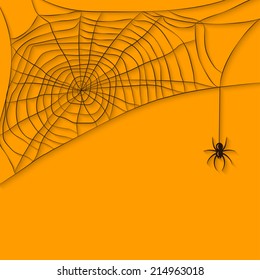 background with spider web - vector illustration. eps 10