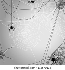 Background with spiders