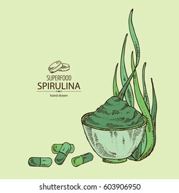 Background with spirulina: spirulina algae, pills and powder. Superfood. Hand drawn.