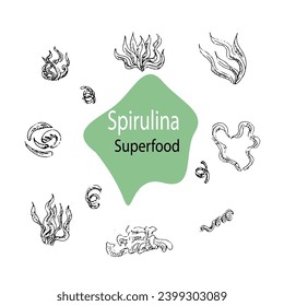 Hintergrund mit Spirulina, Algen. Superfood. Vektorgrafik, handgezeichnet, Skizze. Kann für kosmetische, Superfood-Hintergrund verwendet werden. 