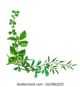 Background of sprigs with green leaves. Decorative natural plants.
