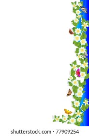 The background of the spring field and meadow flowers.