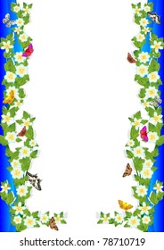 The background of the spring field and meadow flowers.