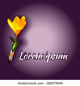 Background with spring flower crocus