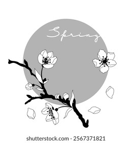 Background with spring flowers. Apple, sakura or cherry blossom. Beautiful decorative blooming plants.
