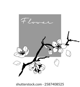 Background with spring flowers. Apple, sakura or cherry blossom. Beautiful decorative blooming plants.