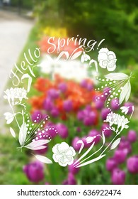 Background  with spring garden flowers. Blurred Vector Illustration