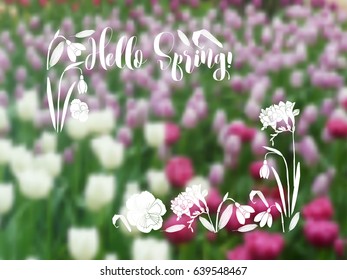 Background  with spring garden flowers. Blurred Vector Illustration