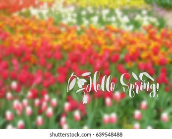 Background  with spring garden flowers. Blurred Vector Illustration