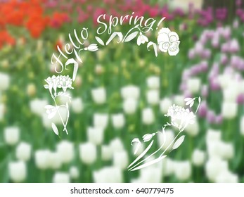 Background  with spring garden flowers. Blurred Vector Illustration