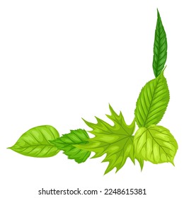 Background with spring leaves. Beautiful decorative foliage.