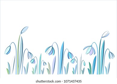 
Background with spring snowdrops.
