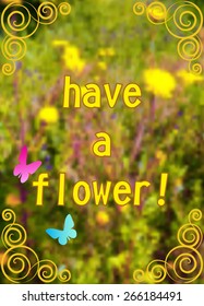 Background / spring / summer / flowers / label - "have a flower!" yellow text over a blurry picture of a flowery field with yellow vintage frame and a yellow and blue butterflies
