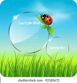 Background spring or summer, with vector clouds, ladybug and grass.