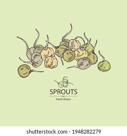 Background with sprouts: seedlings of various cereals and legumes. Superfood. Vector hand drawn illustration