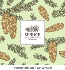 Background with spruce: branch of spruce with cone. Cosmetics and medical plant. Vector hand drawn illustration.