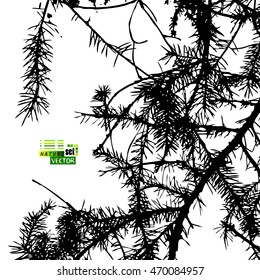 Background spruce branches. Vector