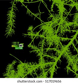 Background spruce branches. Vector