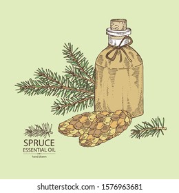 Fondo con cono de abeto y botella de aceite esencial de abeto. Planta cosmética, perfumería y médica. Ilustración dibujada a mano por vectores.